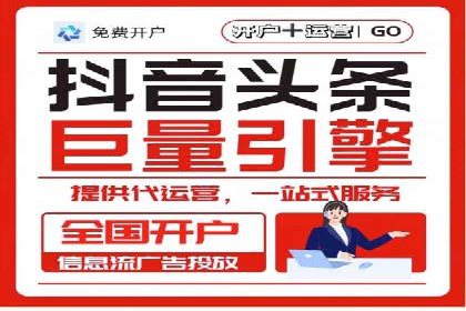 谷歌竞价广告与SEO结合的营销案例解析
